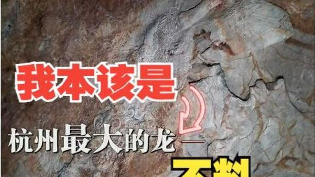 差一点,这就是杭州最大的龙