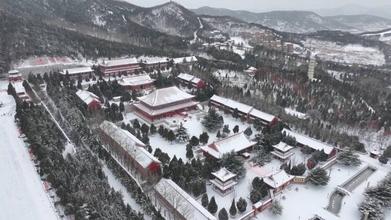 龙口市:玉树琼枝 雪景美如画