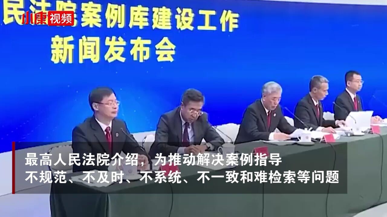 人民法院案例库正式上线并向社会开放