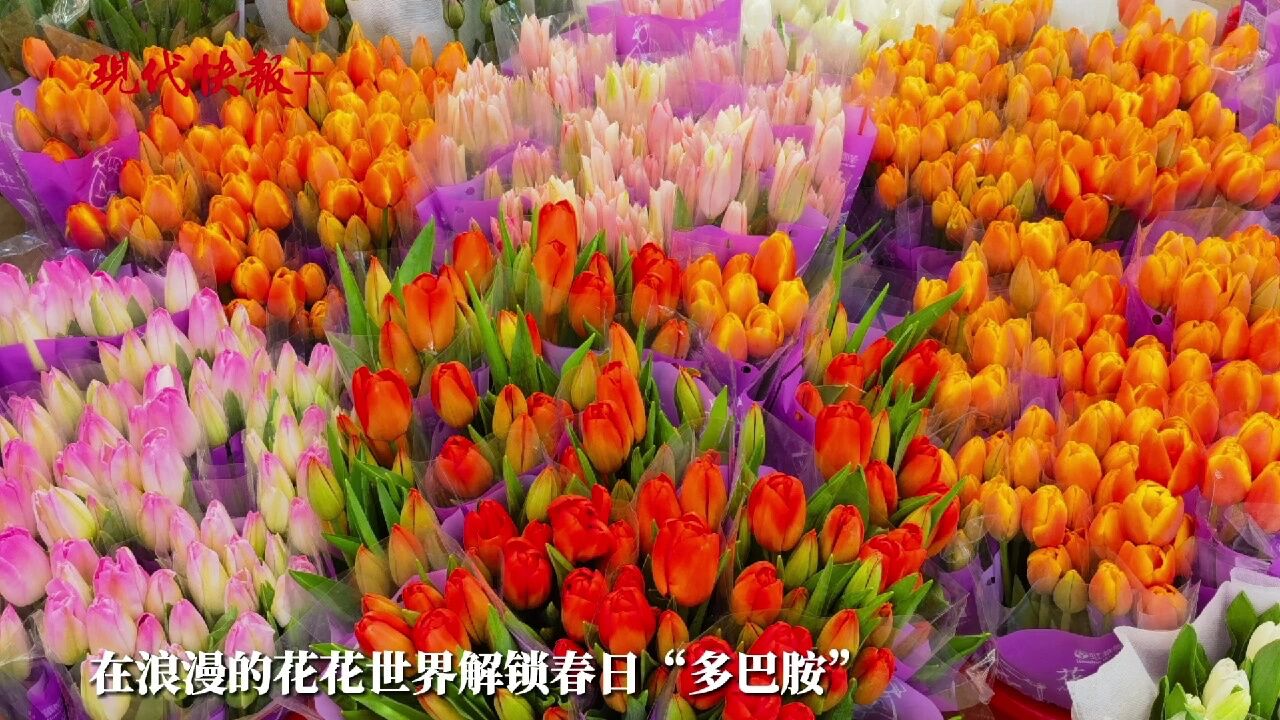 解锁春日“多巴胺”,南京时令鲜花上新热销