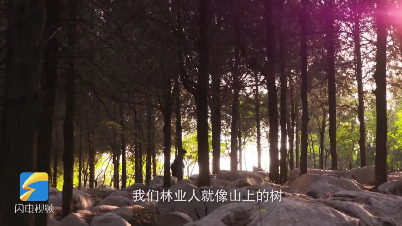 植树节丨“植”因有你,青山常绿,今天向他们致敬!