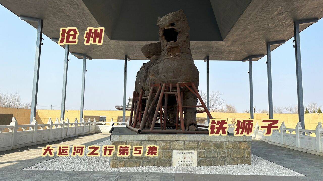 饱经风雨目睹历史变迁,沧州地标铁狮子,是如何被“专家”修坏了