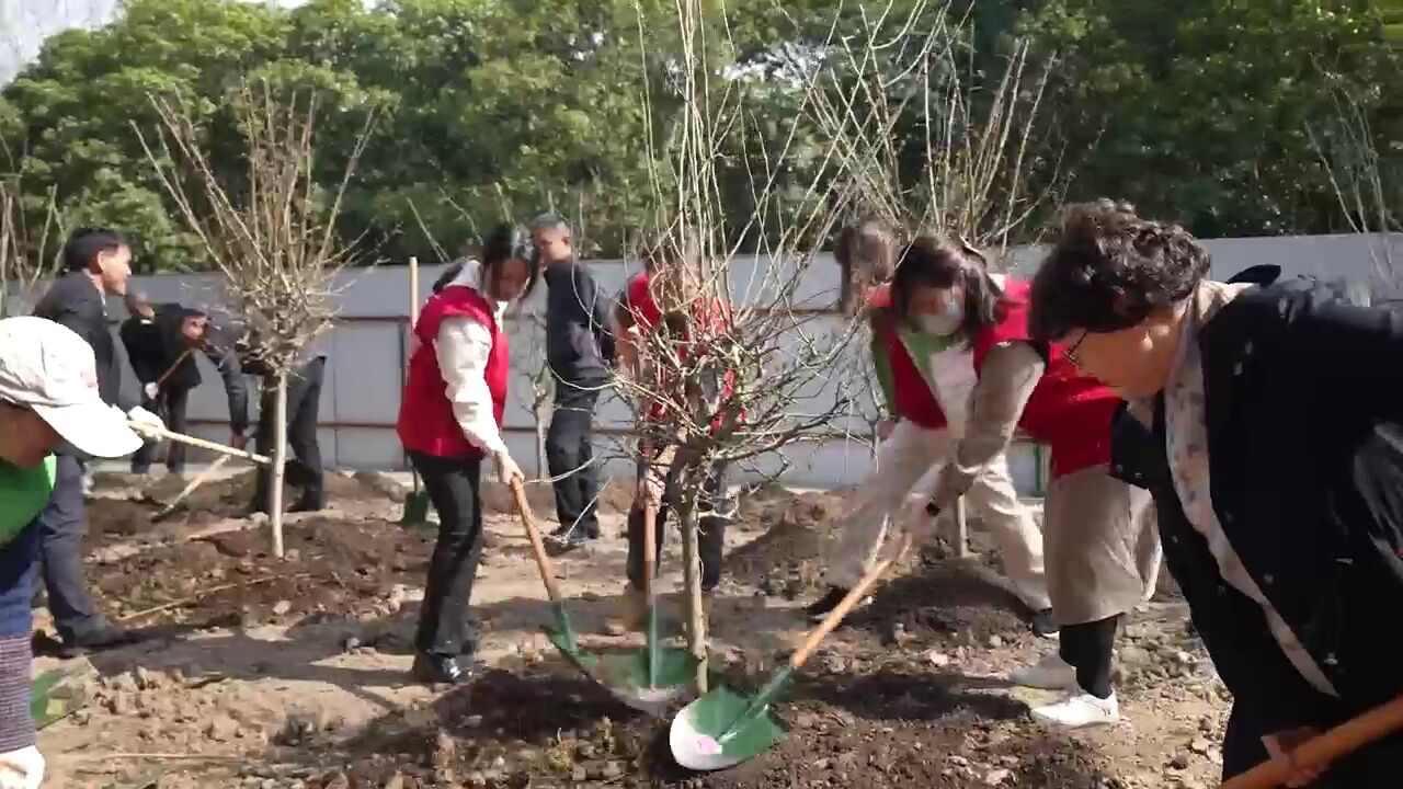 程家桥街道举办市民绿化节!