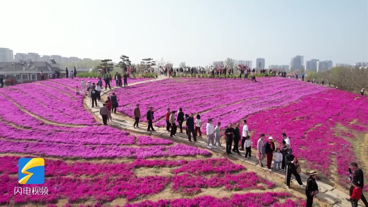 潍坊昌乐:“花海景观”扮靓城市颜值 旗袍秀让游客尽享春日欢乐