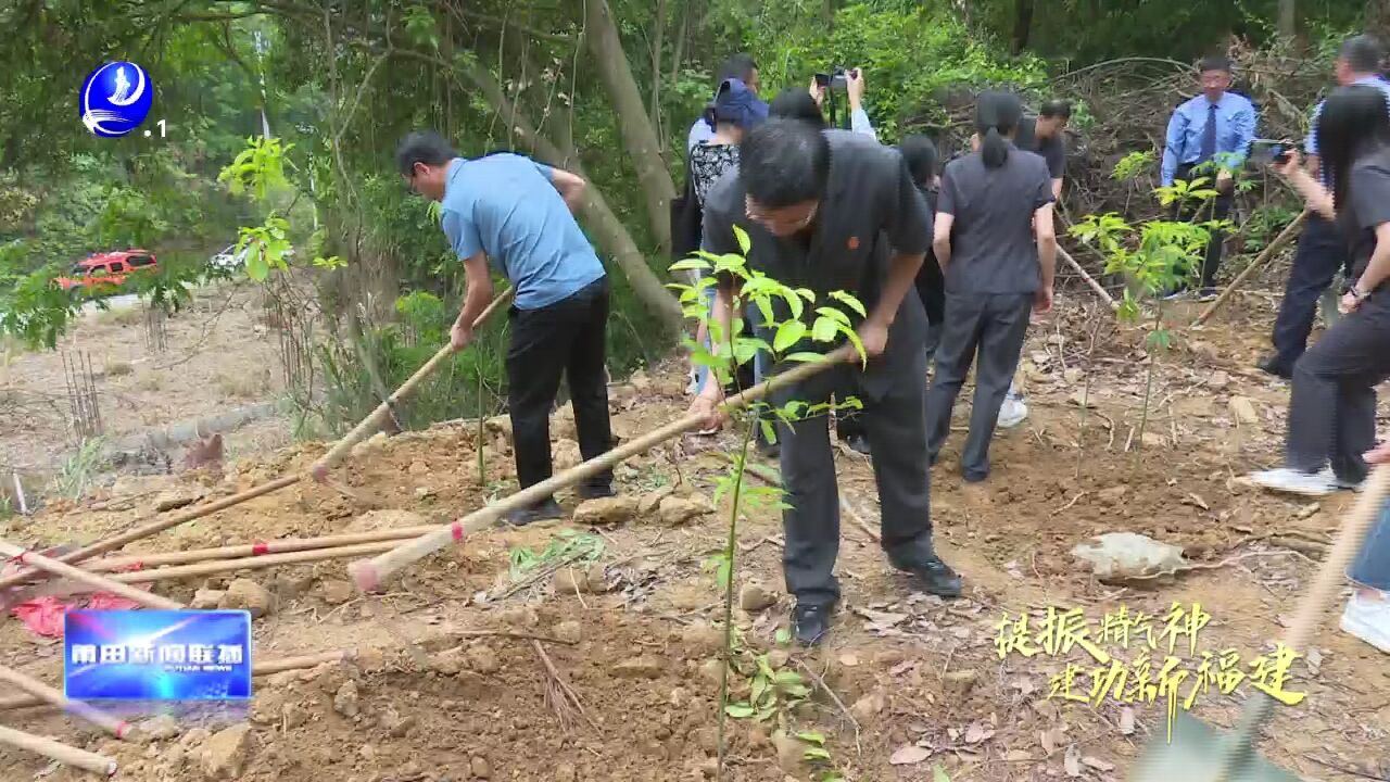 全市首个“生态司法保护碳汇林”落地涵江