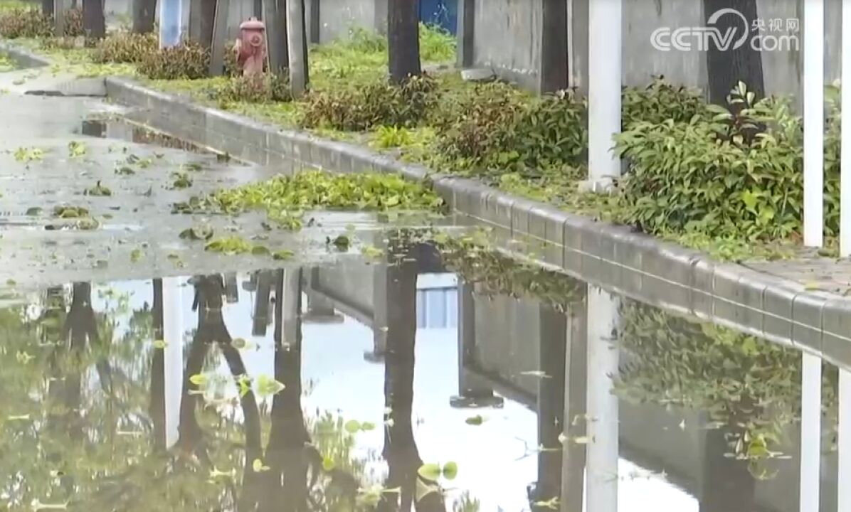 新一轮降水将再度影响江南华南,广东汕尾:遭遇大风雷电天气,部分地区出现冰雹