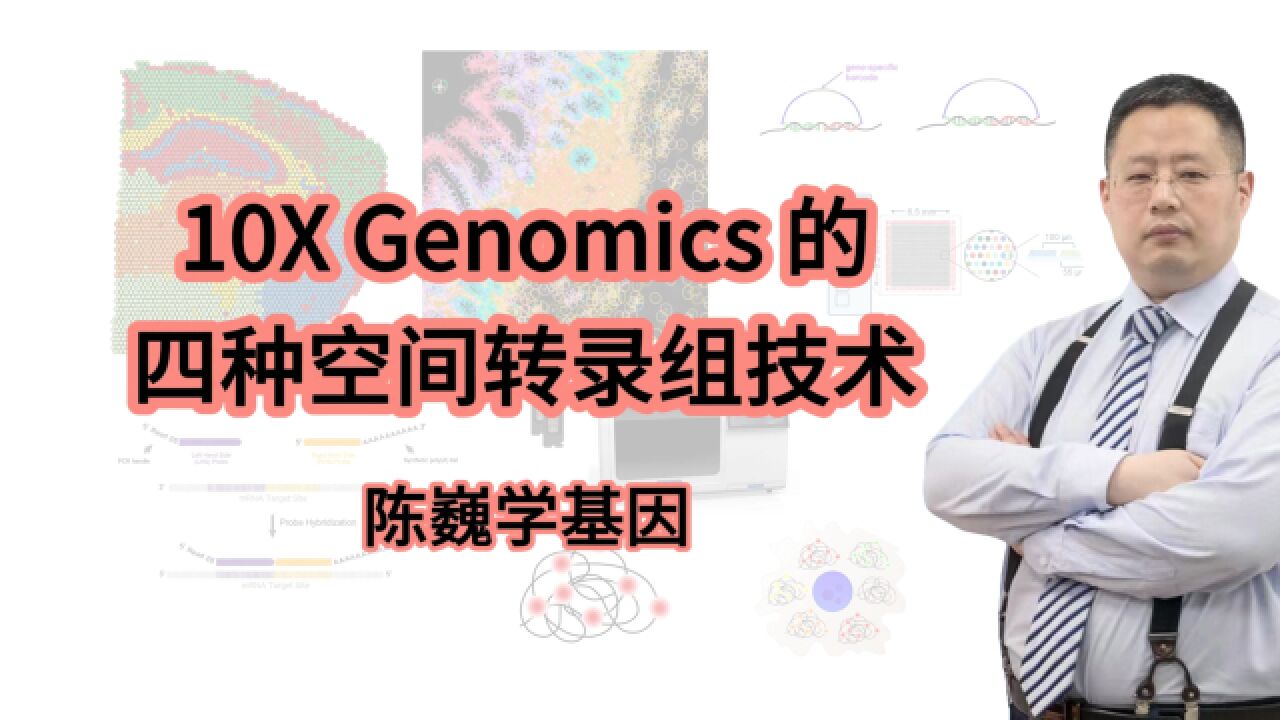 【陈巍学基因】10X Genomics 的四种空间转录组技术