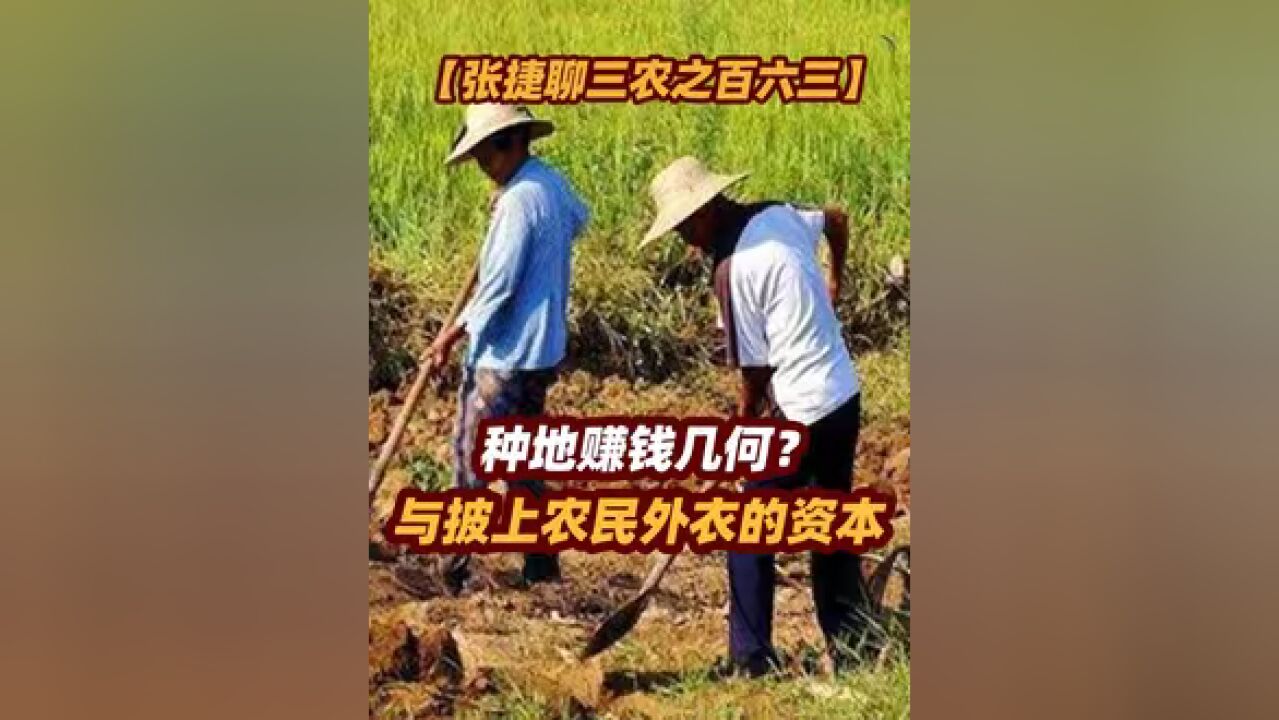 【张捷聊三农之百六三】种地赚钱几何?与披上农民外衣的资本