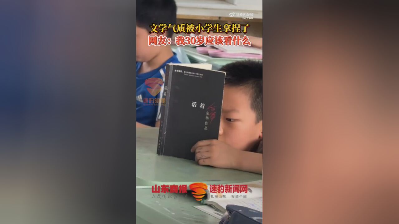 文学气质被小学生拿捏了