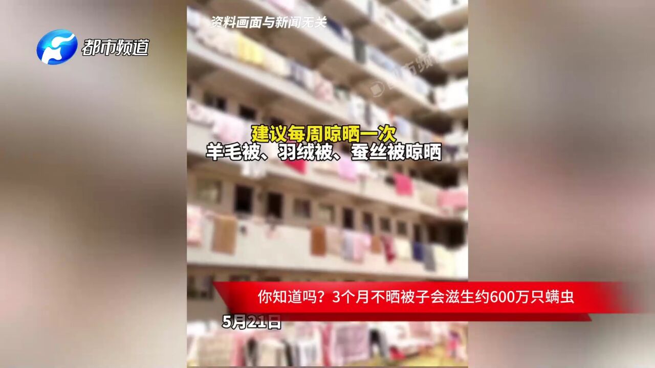 你知道吗?3个月不晒被子会滋生约600万只螨虫