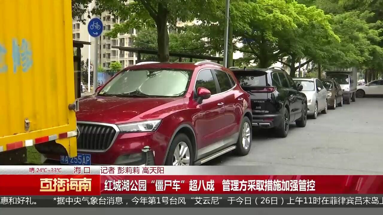 红城湖公园“僵尸车”超八成 管理方采取措施加强管控