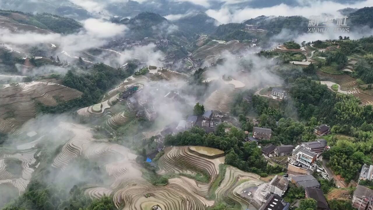 夏日龙脊梯田美得像国画