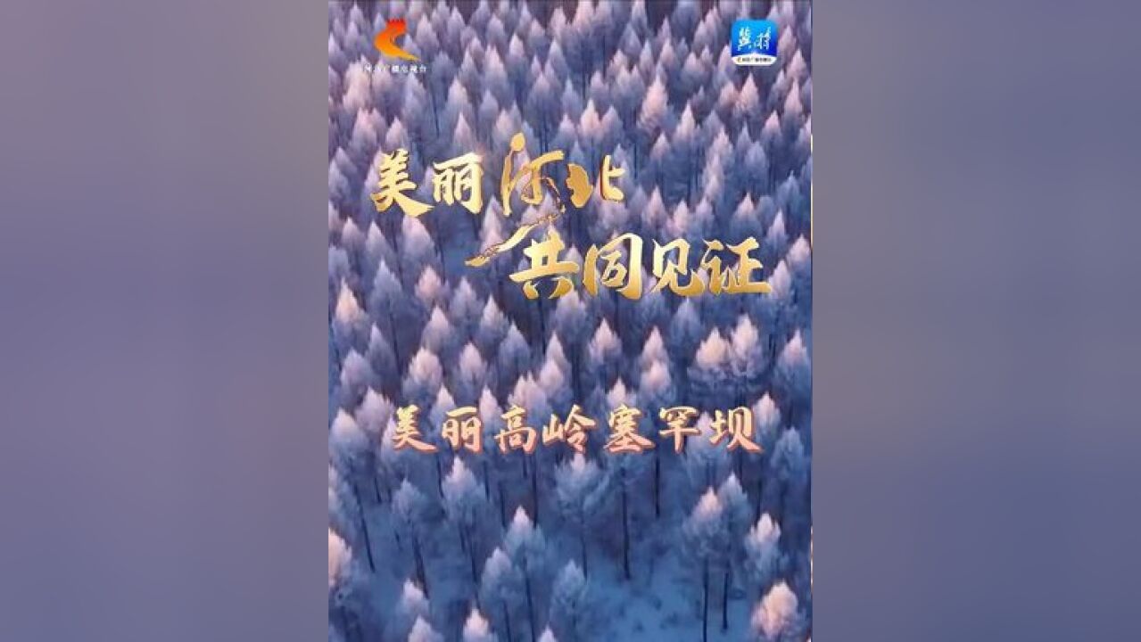 高俊虎《美丽高岭塞罕坝》