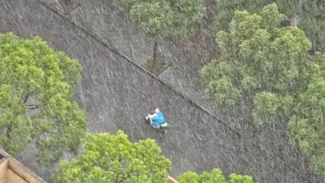 暴雨预警升级为黄色!“双黄”预警高挂,上海启动防汛防台三级响应行动