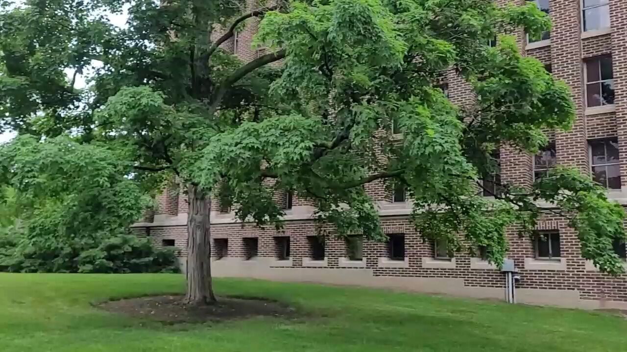 没想到美国密歇根州立大学校园这么漂亮,就像一个大高尔夫球场,虽然其学术排名一般般