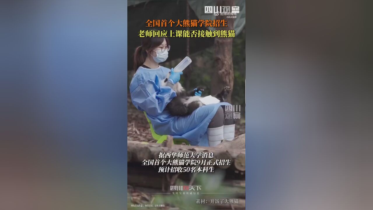 全国首个大熊猫学院计划招生50人