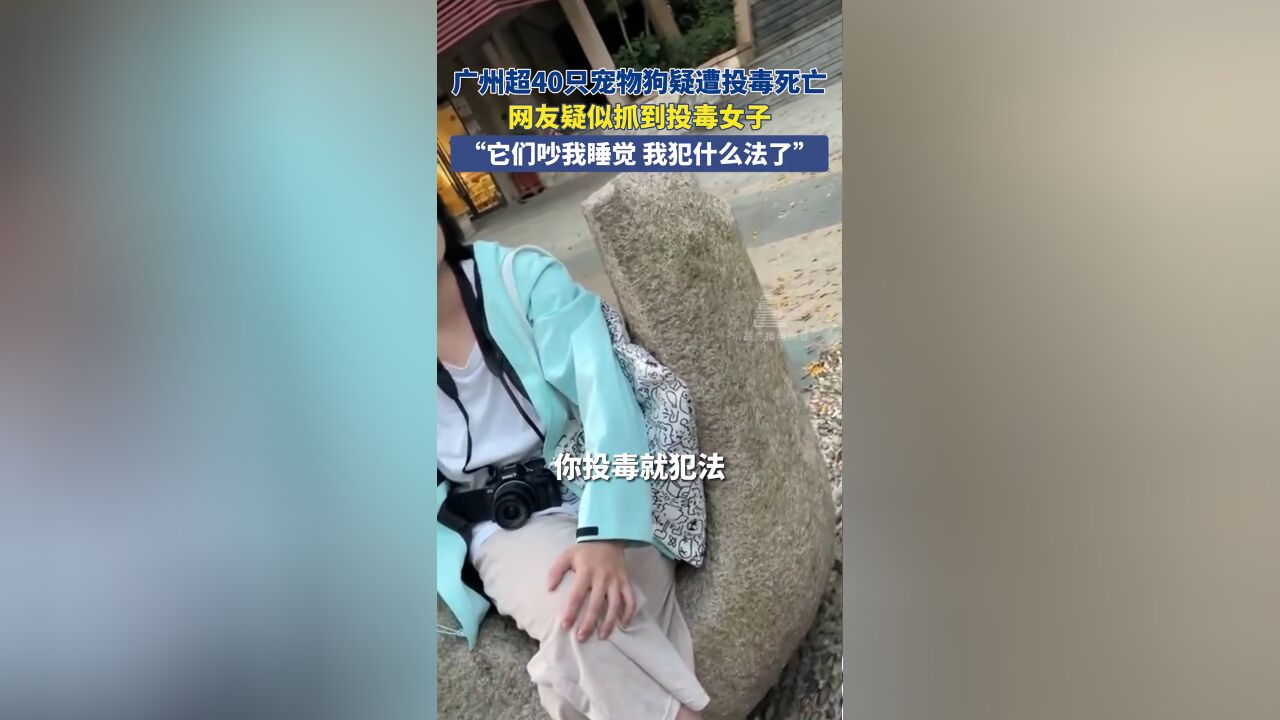 11月19日,广东广州.广州超40只宠物狗疑遭投毒死亡,网友疑似抓到投毒女子,“它们吵我睡觉,我犯什么法了”