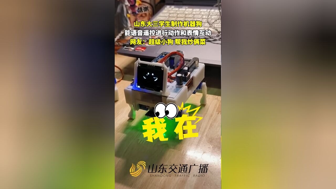 山东大三学生制作机器狗,能语音遥控进行动作和表情互动!