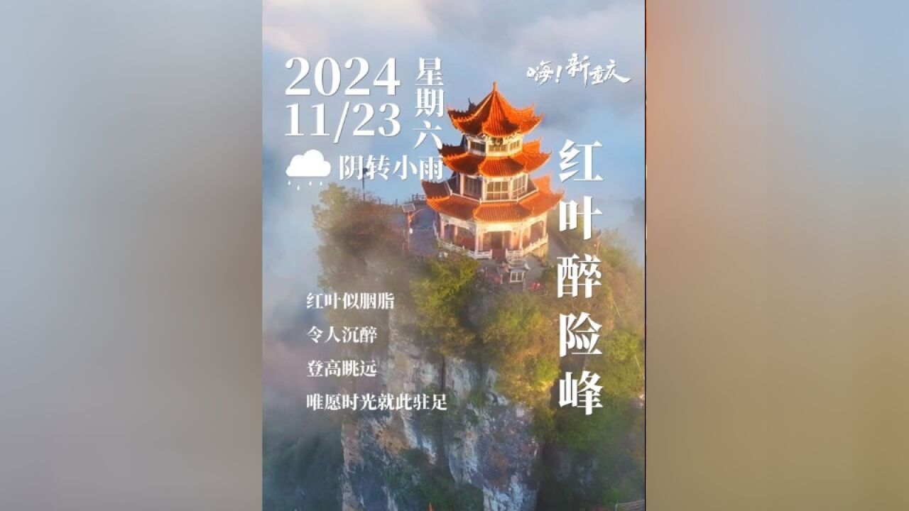 嗨!新重庆|红叶似胭脂,令人沉醉.登高眺远,风光在险峰,唯愿时光就此驻足.#嗨!新重庆 #风光在险峰 (摄影:@追光人L)