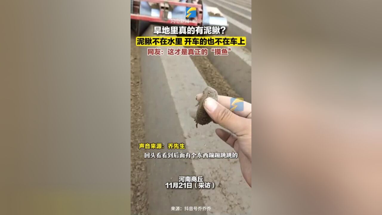 旱地里真的有泥鳅?网友:这才是真正的“摸鱼”