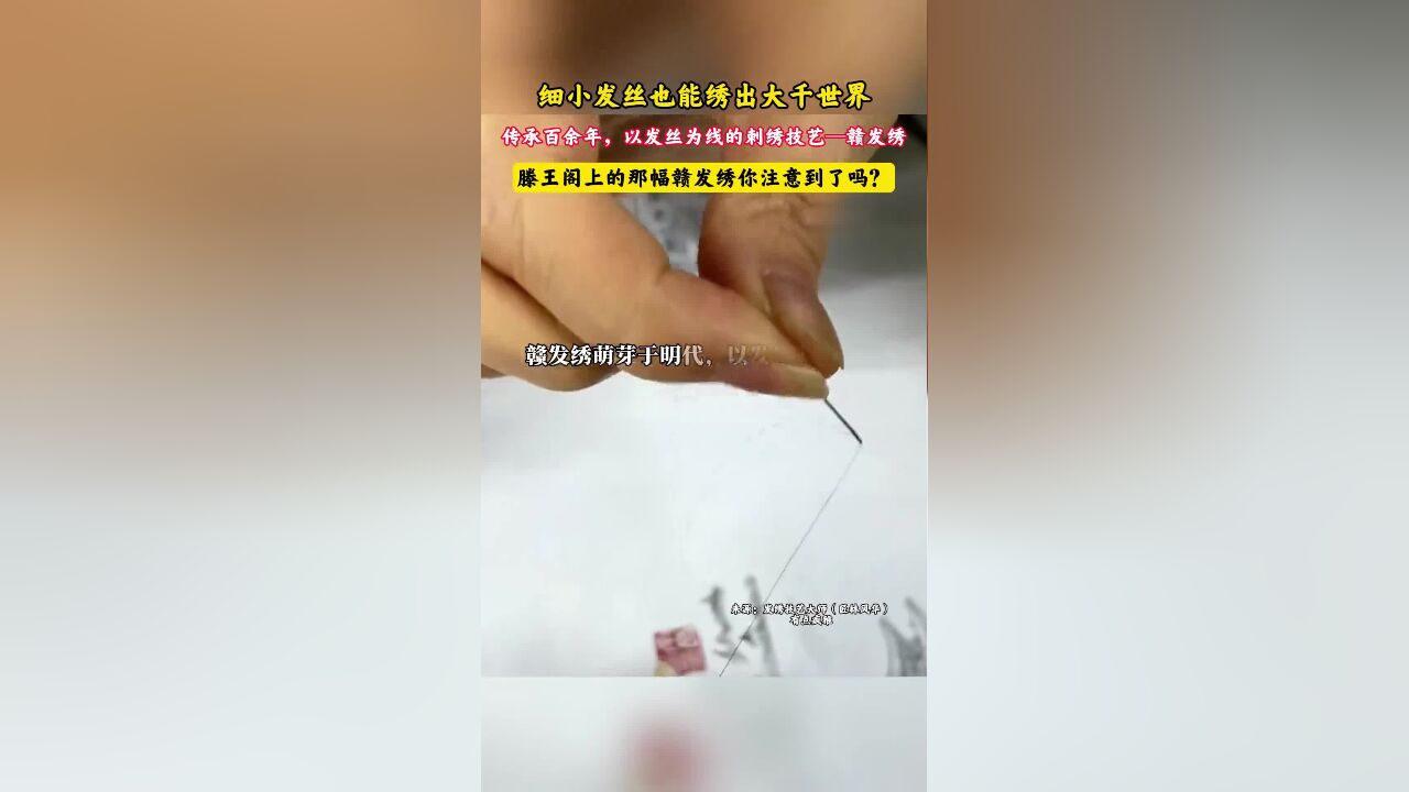 用细小发丝绣出大千世界,唯有赣发绣