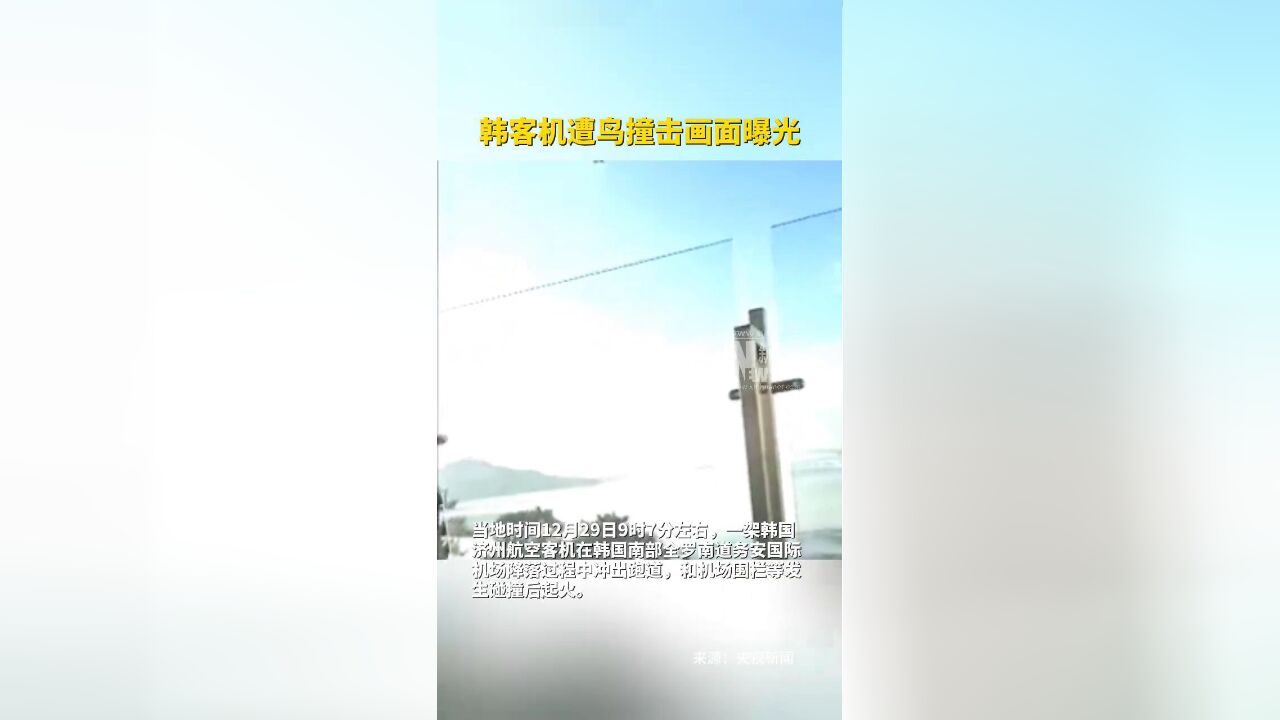 韩客机遭鸟撞击画面曝光,除2名乘务员生还恐全部遇难