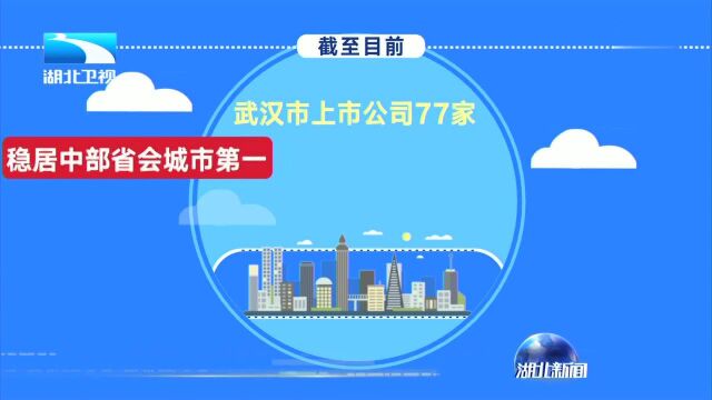 武汉上市公司总数达77家 居中部省会城市之首