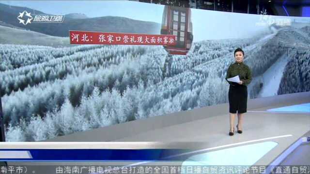 河北:张家口崇礼现大面积雾凇