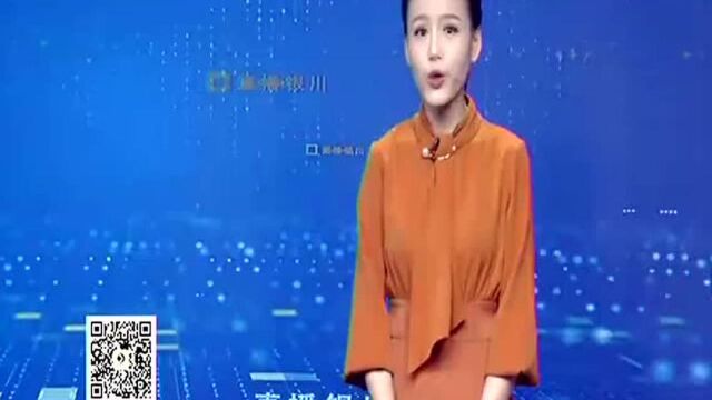 我市对多条道路信号灯优化调整