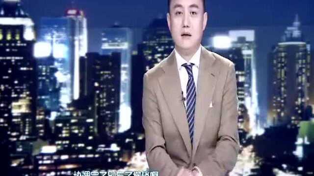 身兼多职?徐州市副市长兼任46个小组职务