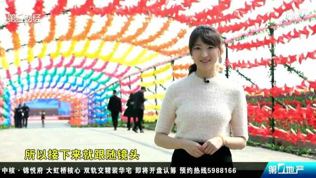 新湖ⷮŠ海上明珠 上海后花园 打造“'半公园'半城”