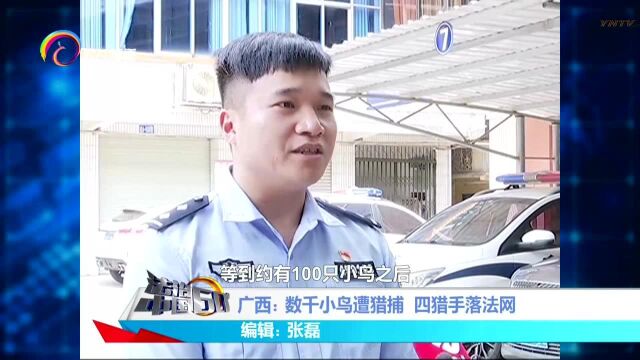 广西:数千小鸟遭猎捕 四猎手落法网