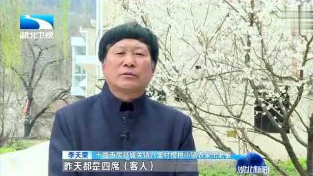 精准扶贫 不落一人 十堰房县:小樱花孕育出大产业