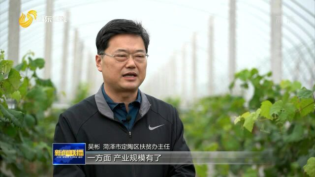 荷泽市定陶区:建设扶贫大棚 资产收益助脱贫