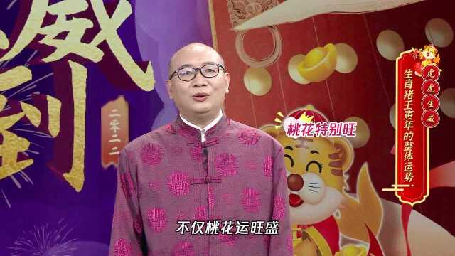 【2022大师季】代学能:生肖猪壬寅年的整体运势