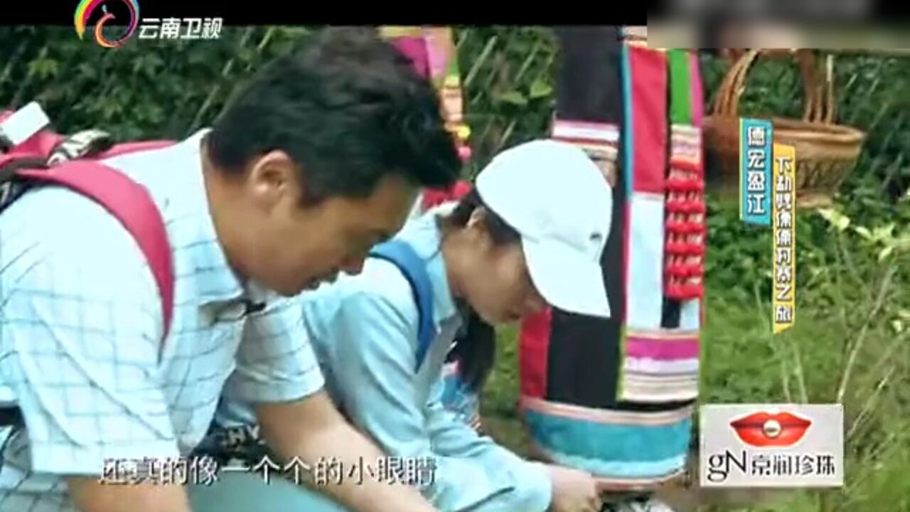 你是我的旅伴:德宏盈江