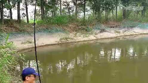 钓鱼视频