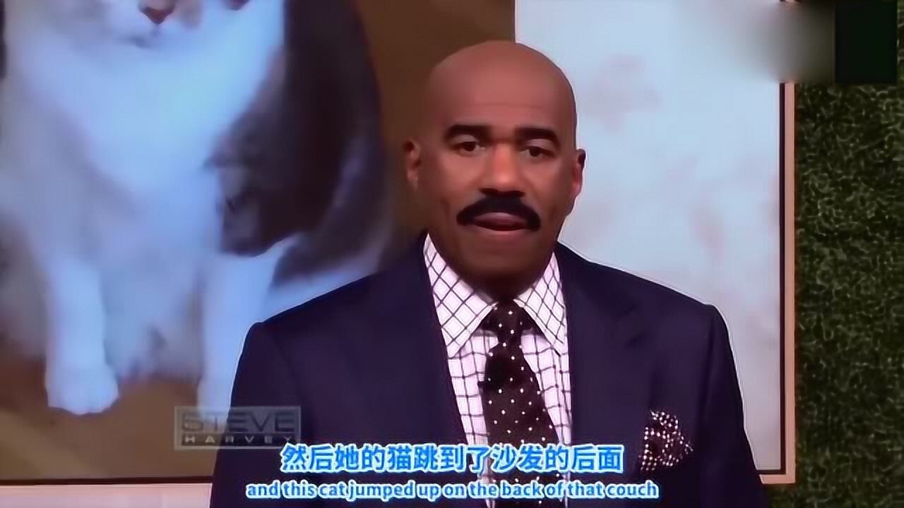 asksteve我交了男朋友之后我的猫吃醋了怎么办