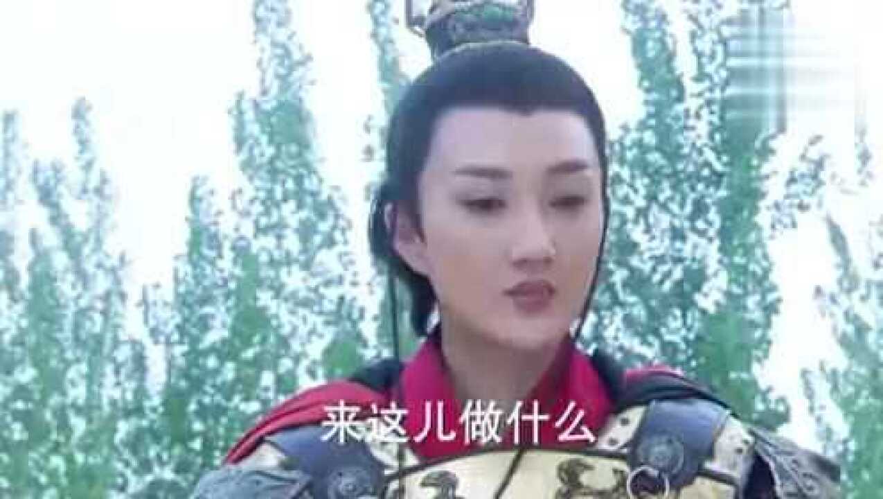 隋唐英雄之薛刚反唐:樊梨花孙子薛葵大战武则天的驴头太子