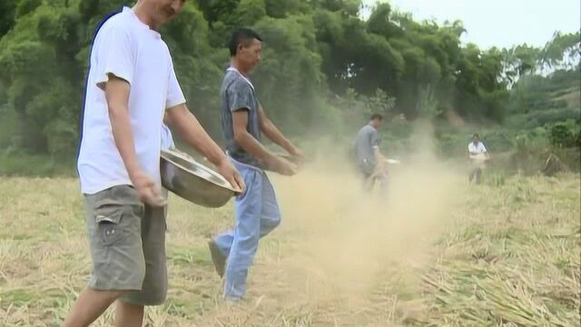 县农林局开展乌龙河流域农业面源污染治理