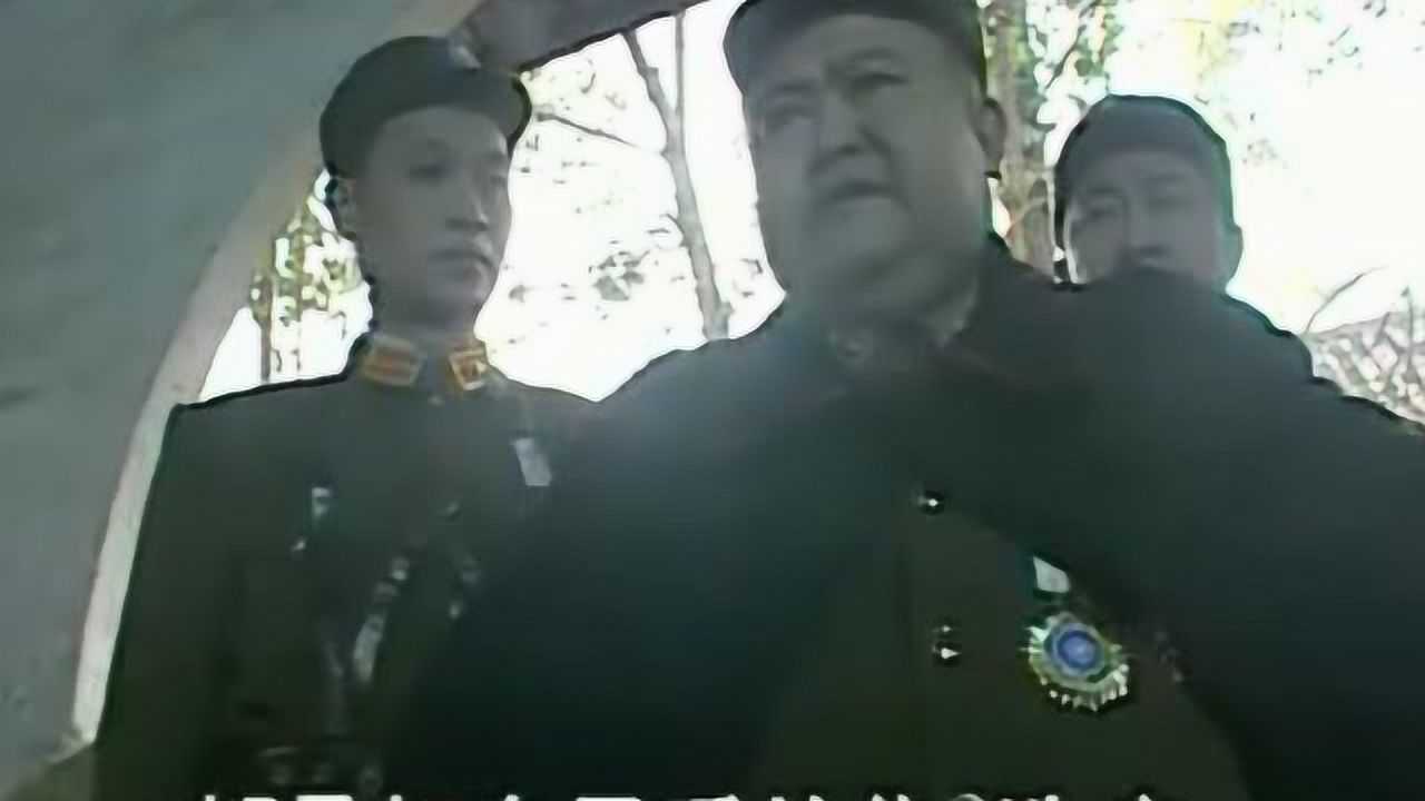 傻儿司令樊鹏举被缴兵权不能带作战部队只能带3个警卫