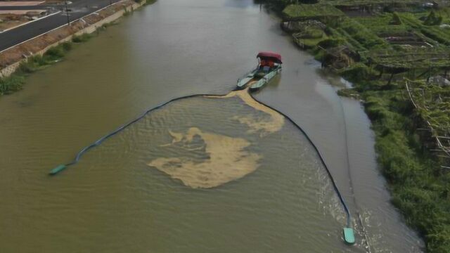 温州平阳河道内有“水蛇”出没 专“吃”水面漂浮物