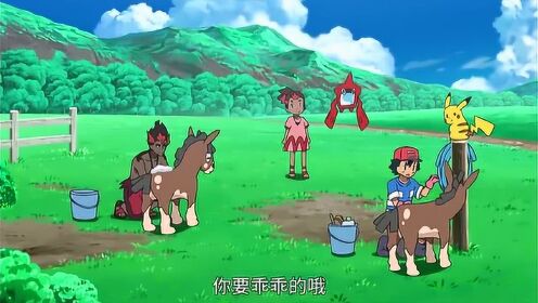 精灵宝可梦:小智,不可以站在泥驴仔后面,会被它踹飞的!