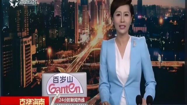 本月26号海南小客车首次“摇号” 中签率不低于80%