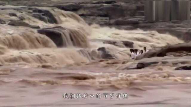 这首歌曲《多情的土地》配上黄河背景让我心潮澎湃