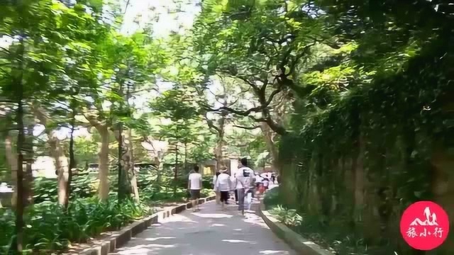 实拍!“海天佛国”普陀山金融街到普济寺沿途风景