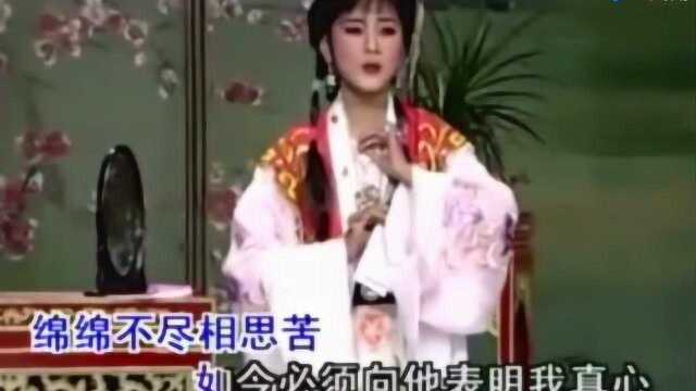 潮剧精选唱段《定约》演唱:黄晓佳