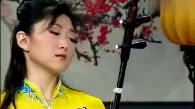 「中国民乐」兰花花叙事曲Erhu(二胡)YuHongMei于红梅