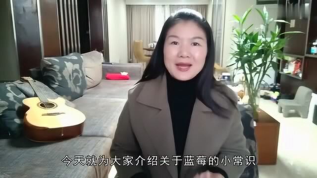 蓝莓的功效,营养价值非常高,吃出健康!