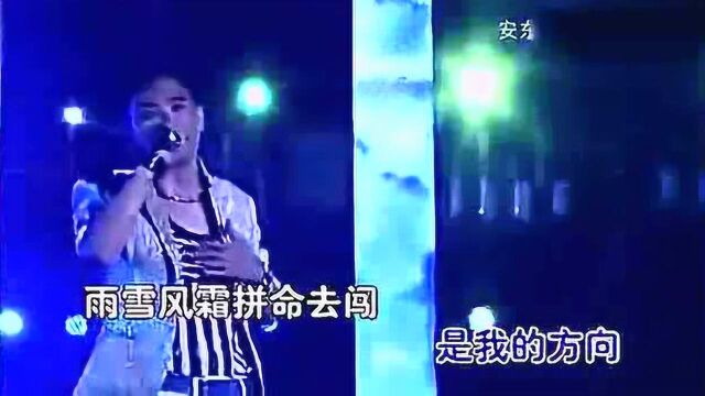 安东阳姑娘像花一样演唱会现场版